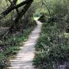 Raised walkways in the lowlands