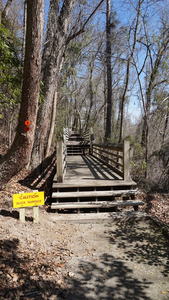 Raised walkways along the river