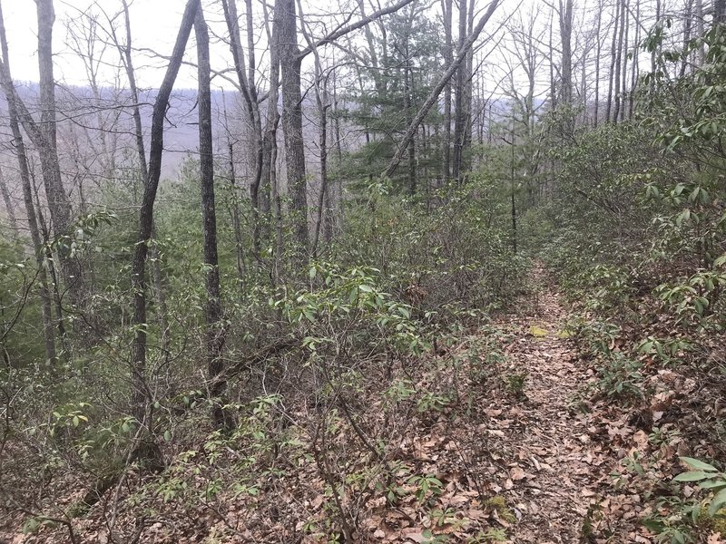 Descending westbound from Sidling Hill with Walker Mountain in the background.