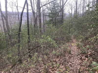 Descending westbound from Sidling Hill with Walker Mountain in the background.