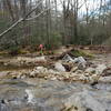 Crossing Harper Creek on Raider Camp / Mountains to Sea Trail.