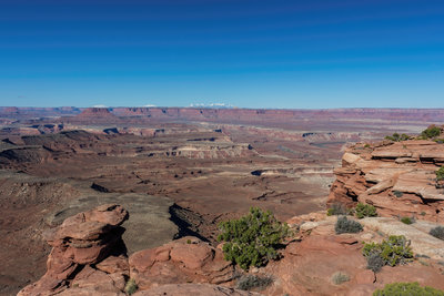 View from Murphy Point with the Green River in the far
