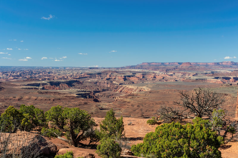 White Rim from Murphy Hogback Trail