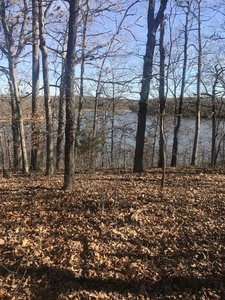 Lake view from orange trail