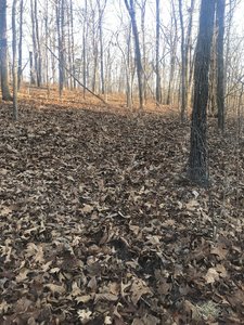 Typical trail conditions; trail hard to find in fall and early winter