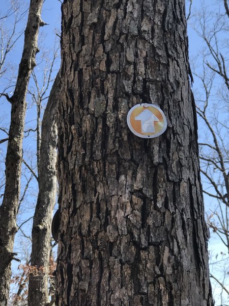 Older trail signs to look for