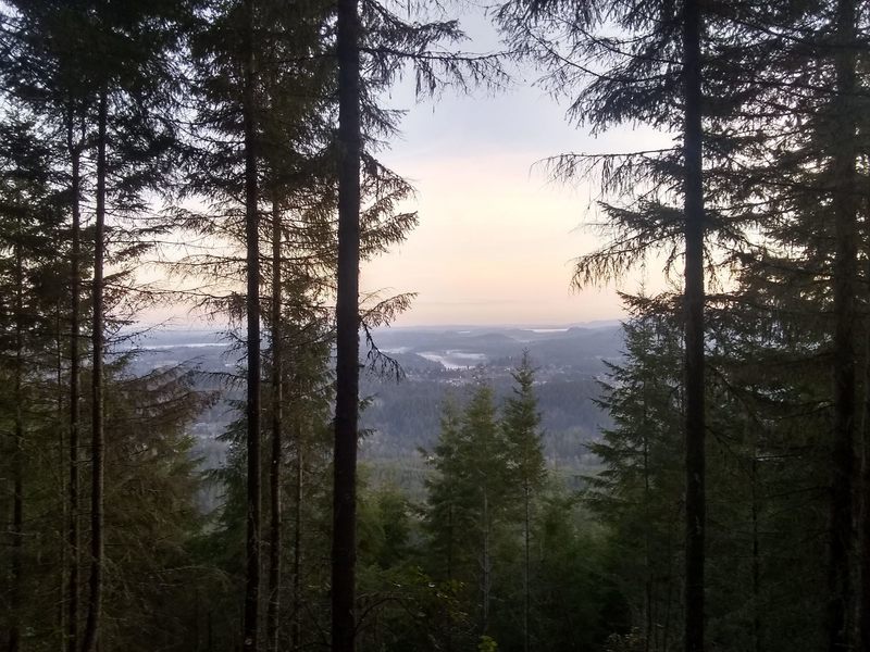 View from the lookout side trail over Eatonville