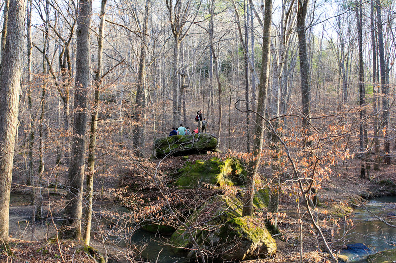 Sipsey Wilderness