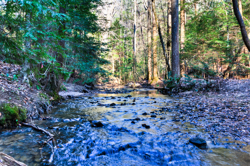 Sipsey Wilderness