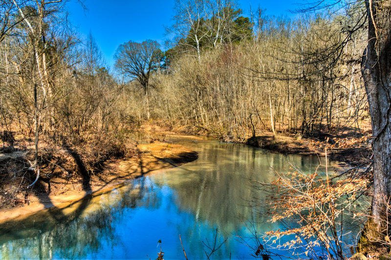 Sipsey Wilderness