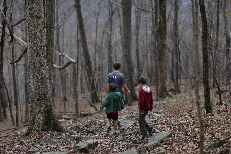 descending the mountain