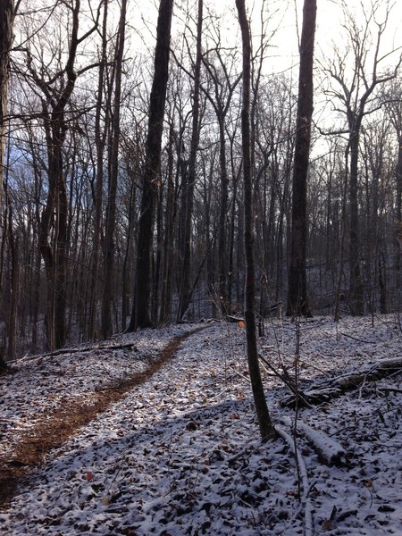 Snow for Mountain Mist