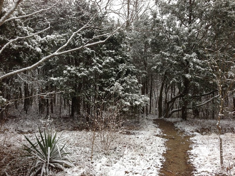 March Blizzard