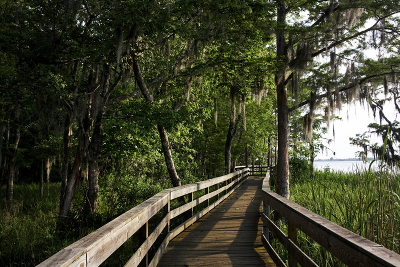 Historic Blakeley State Park located on the Tensaw River is very lush in the summertime.