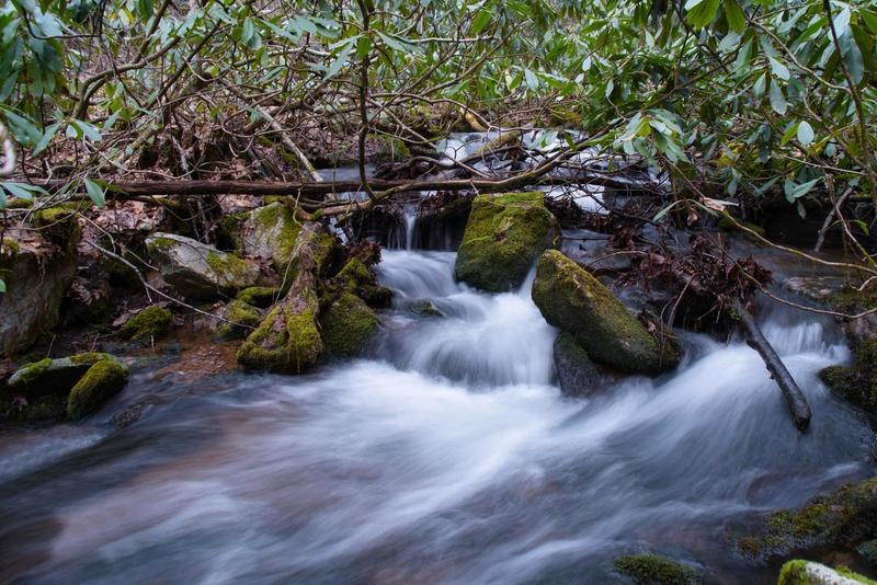 Small shoals near a campsite along Long Branch Creek