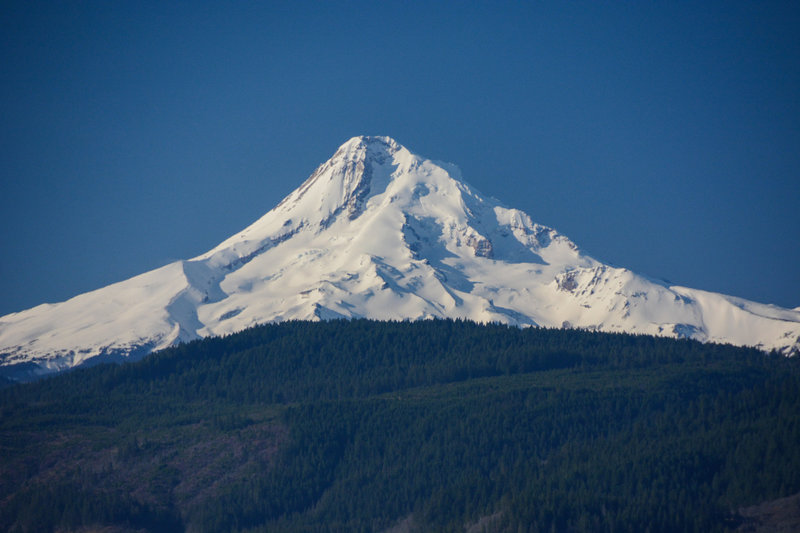 Mount Hood on a clear spring day