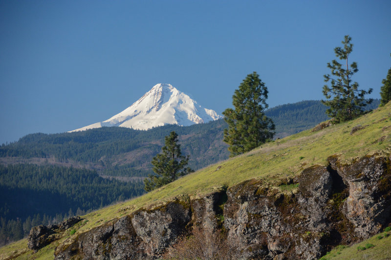 Mount Hood as seen from the top half of Little Maui Trail