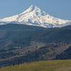 Some hikers and dogs enjoying the Coyote Wall trail and its incredible views of Mt. Hood.