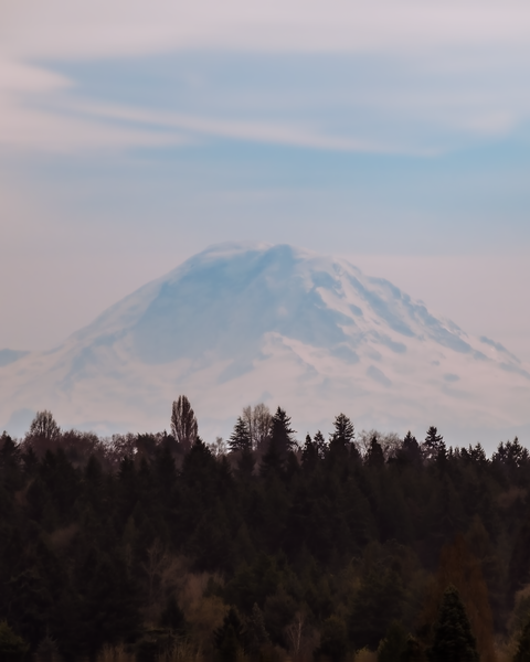 All these clear days are giving us great views of Mt. Rainier.