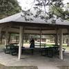 A fantastic shelter to have lunch at before your hike!