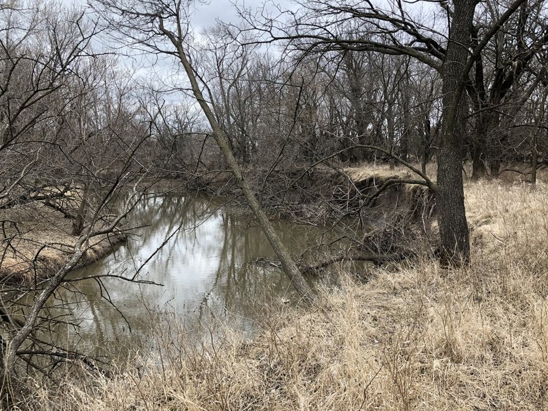 There were a whole bunch of ducks that flew away just as I arrived.  This is a pretty quiet are for the wildlife.