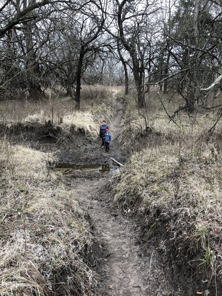 Another muddy ditch that doesn't slow down horses, but gives families a little challenge