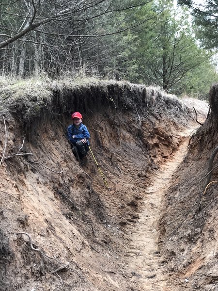 Another equestrian creek crossing