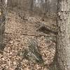 Photo taken near the top of Walker Mountain on its eastern slope. Prolific blazing helps hikers follow the general direction of the Backdraft Trail, but it is accurate to state that no real trail exists here.