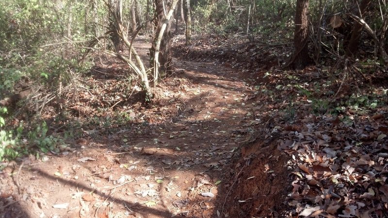 New singletrack keyhole Trail