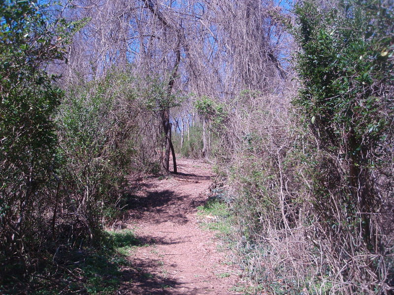 tharp trace trail - a full half mile of straight uphill.