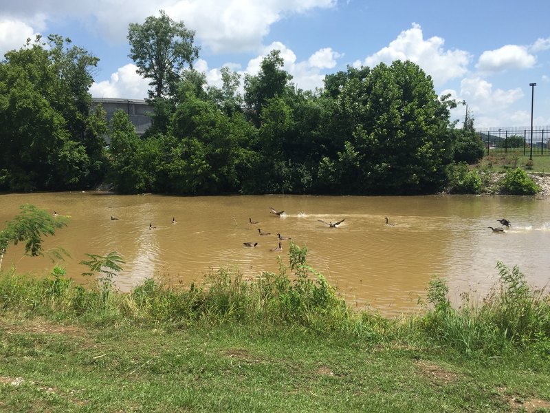 Third Creek Greenway