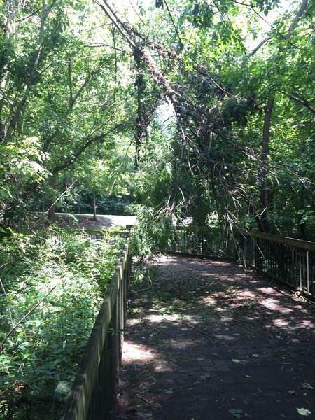 Third Creek Greenway