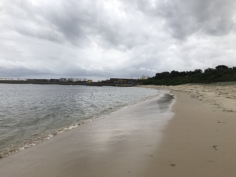 Yarra Bay, looking back towards container terminal.