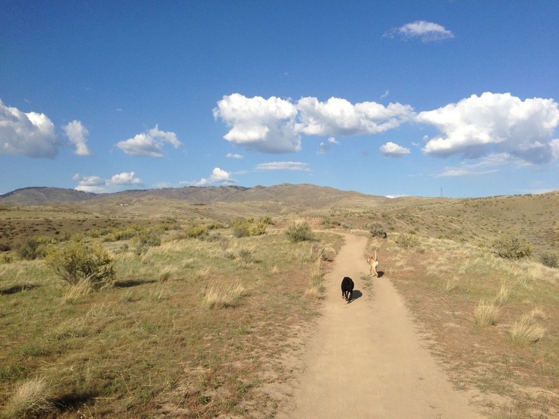 Red Cliffs Trail.