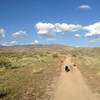 Red Cliffs Trail.