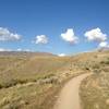 The dogs getting a bit ahead of me on Red Cliffs Trail