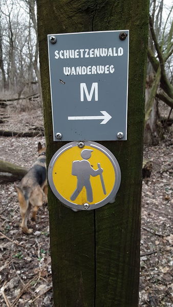 One of the well marked trails in the Schützenpark "Mittel-Wanderweg"