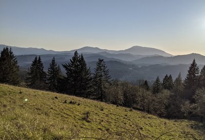 View of Marys Peak, approaching sunset from Throop Loop