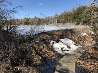 The bridge below the dam.