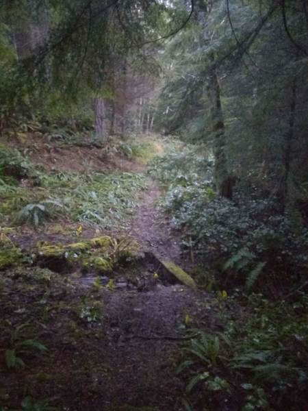 One of the stream crossings on the way up the trail.