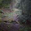 One of the stream crossings on the way up the trail.