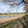 South end of the park along the pond.