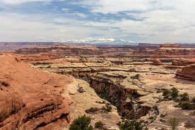 A deeply incised canyon from the Peekaboo Trail