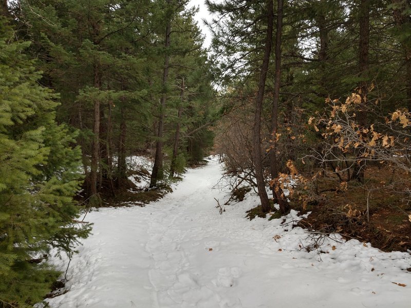 Indian Creek Loop 800 in late March