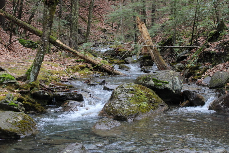 The trail requires crossing the river multiple times.