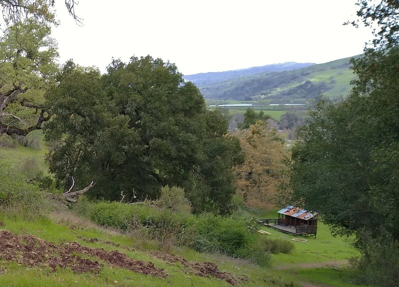 A small rustic amphitheater set in the green hills, is reached by the Amphitheater Trail in Joseph D. Grant County Park.