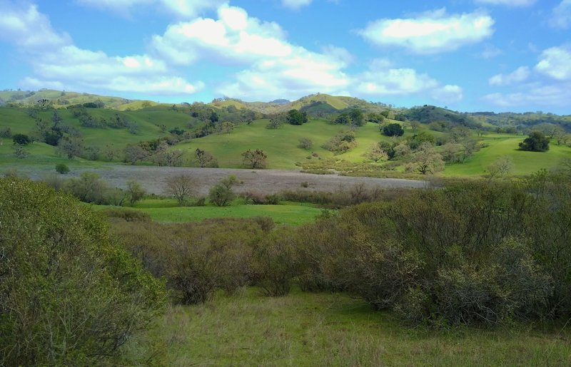 Spring turns the Diablo Range hills green. The San Felipe Creek flows through wetlands in the valley below the hills.  Seen looking northeast from Snell Trail.