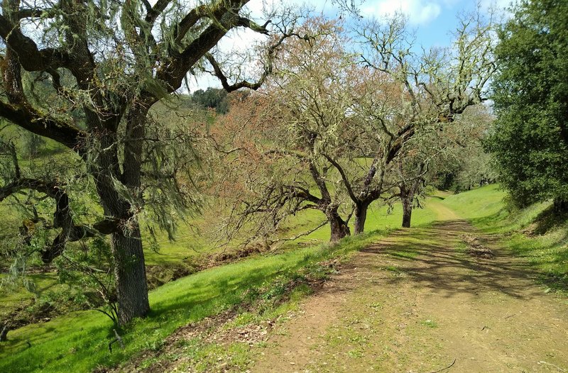 A pretty seasonal creek is to the left (southwest), below Eagle Trail.