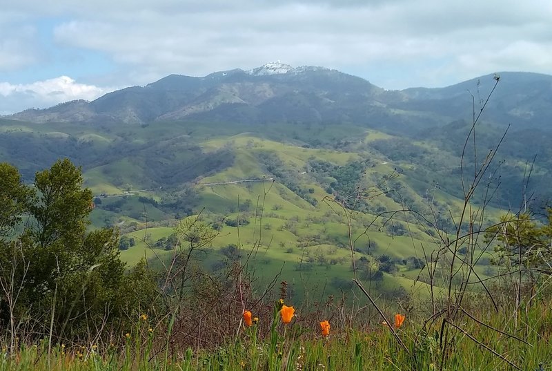 Snow capped Mt. Hamilton, 4,265 ft., along a high ridge of the Diablo Range. In the spring the grass hills turn green and bright orange California Poppies, the state flower, appear everywhere.  Looking northeast from high on Dutch Flat Trail.