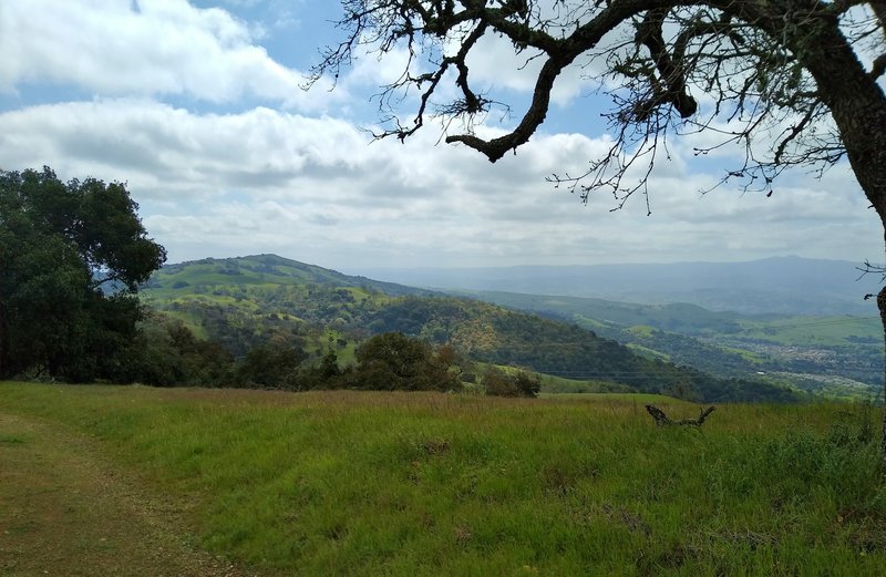 The Santa Cruz Mountains are seen in the distance to the southwest (right) from the high ridge walk of Dutch Flat Trail. Loma Prieta, 3,790 ft. is the tallest Santa Cruz Mountain, in the distance at the right. Santa Clara Valley spreads out below (right).